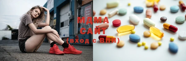 хмурый Арсеньев