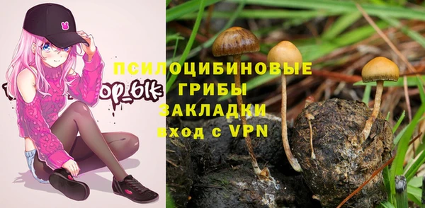 хмурый Арсеньев